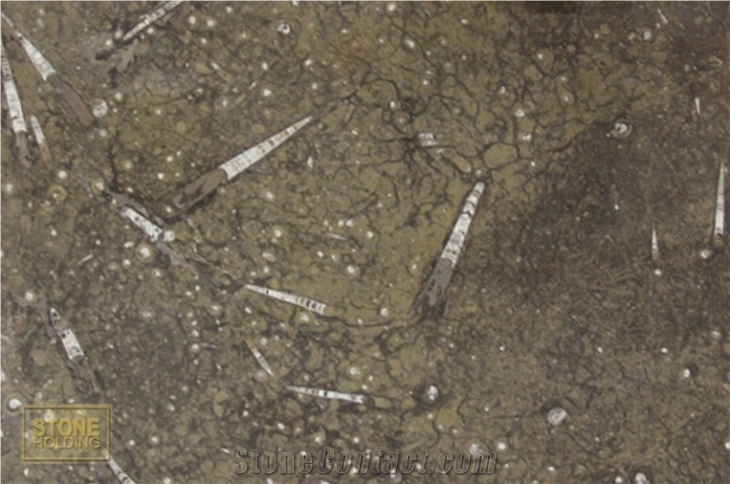 Fossile Marrone Brown Limestone Slabs & Tiles