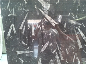 Fossil Black Limestone Slabs & Tiles, Morocco Black Limestone