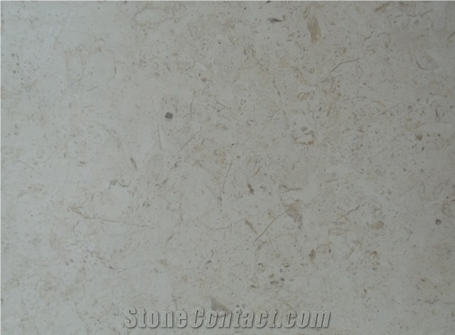 Jasmine White, Palestinian Light Cream White Limestone Slabs & Tiles