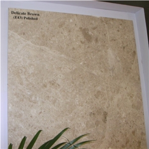 Delicate Brown Polished Marble Tile