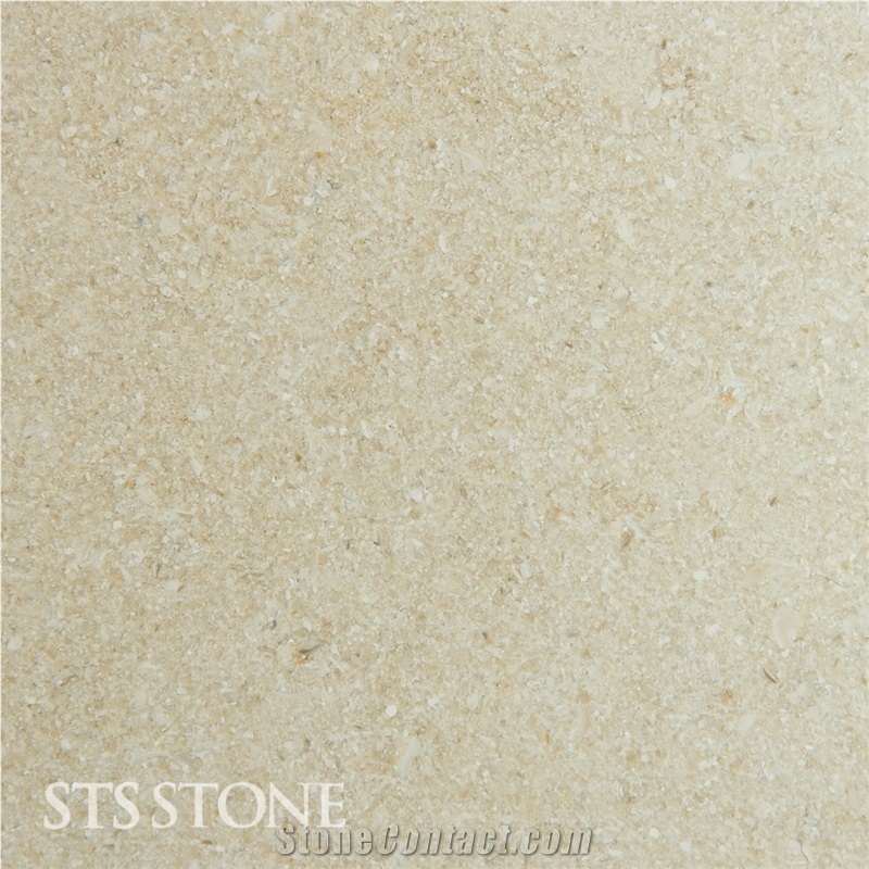 Toscana Florence, Italy Beige Limestone Slabs & Tiles