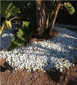 White Macael Marble Pebbles, Blanco Macael White Marble Pebbles