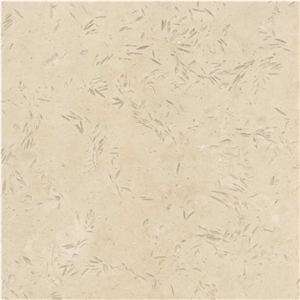 Sah-i Ruba, Turkey Beige Limestone Slabs & Tiles