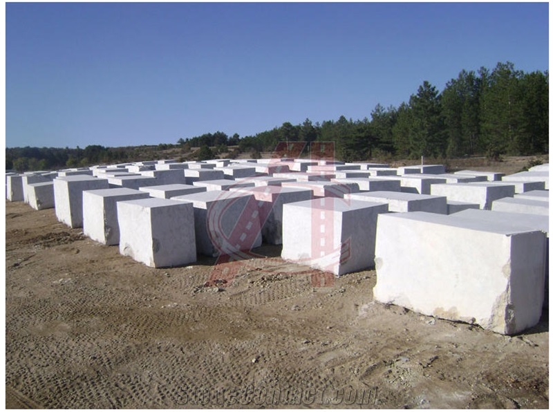 Rustic Green Blocks Seagrass Limestone