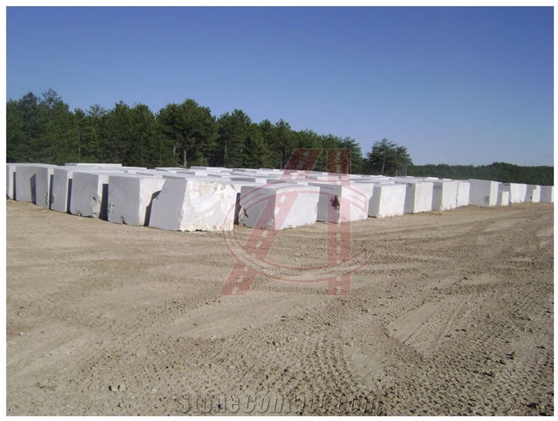 Rustic Green Blocks Seagrass Limestone