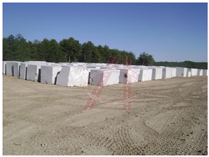Rustic Green Blocks Seagrass Limestone