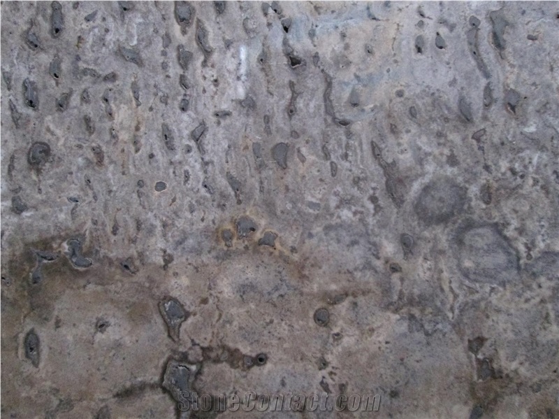 Silver Travertine Takab Tiles, Slabs