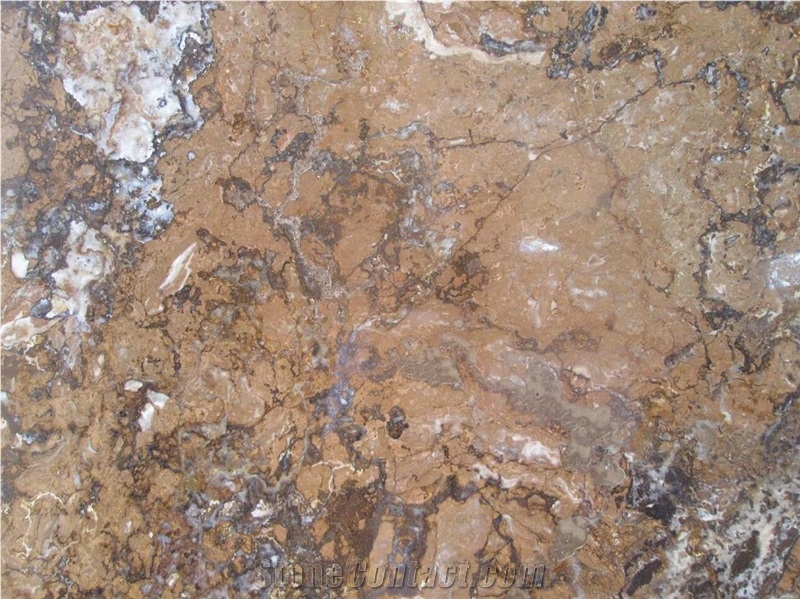 Walnut 1, Iran Brown Travertine Slabs & Tiles