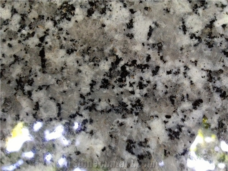 SL White Granite