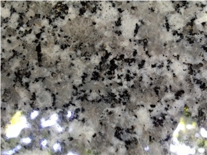 SL White Granite