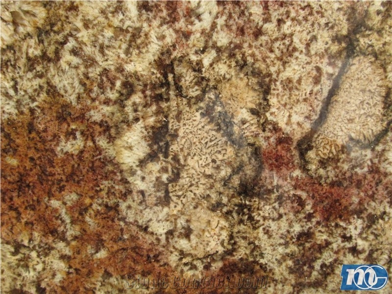 Bellini, Brazil Beige Granite Slabs & Tiles