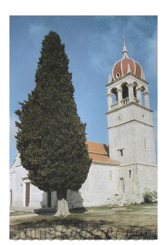 San Giorgio Striata Limestone Building Stone, Wall, San Giorgio Striata Beige Limestone Building Stone