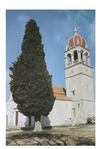 San Giorgio Striata Limestone Building Stone, Wall, San Giorgio Striata Beige Limestone Building Stone San Giorgio Striata Limestone Building Stone, Wall, San Giorgio Striata Beige Limestone Building Stone