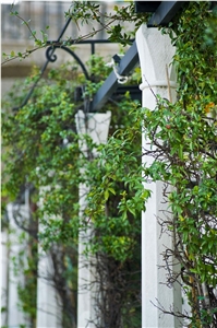 Dubrovniks Column, Calyx White Limestone Column