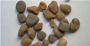 Natural Stone Pebble Stone