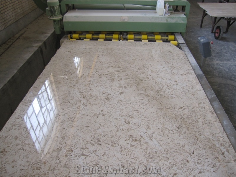 Fossil Beige Marble Slabs & Tiles, Iran Fossil Beige Marble