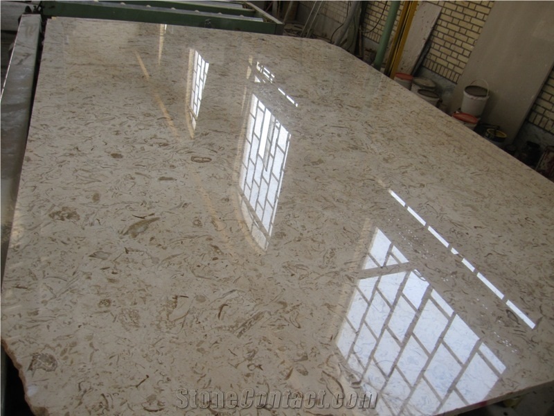 Fossil Beige Marble Slabs & Tiles, Iran Fossil Beige Marble
