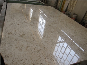 Fossil Beige Marble Slabs & Tiles, Iran Fossil Beige Marble