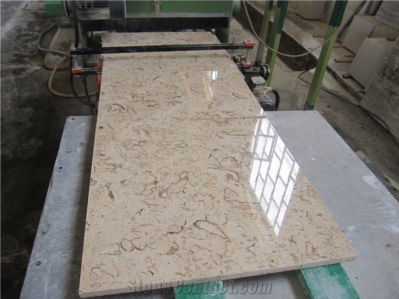 Fossil Beige Marble Slabs & Tiles, Iran Fossil Beige Marble