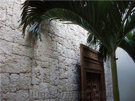 Classic Coral Stone Split Surface Wall Cladding, Classic Coral Beige Tiles for Wall