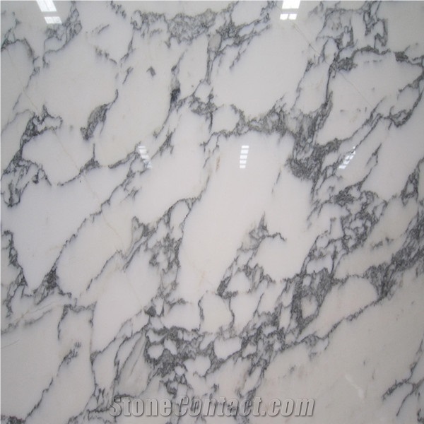 Arabescato White Marble Slab, Italian White Marble Slab