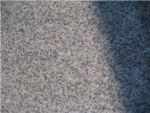 G364 Cherry Flower Granite Tiles, Floor Tiles