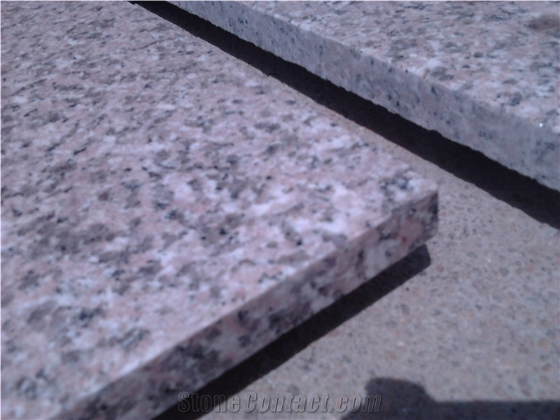 G364 Cherry Flower Granite Tiles, Floor Tiles
