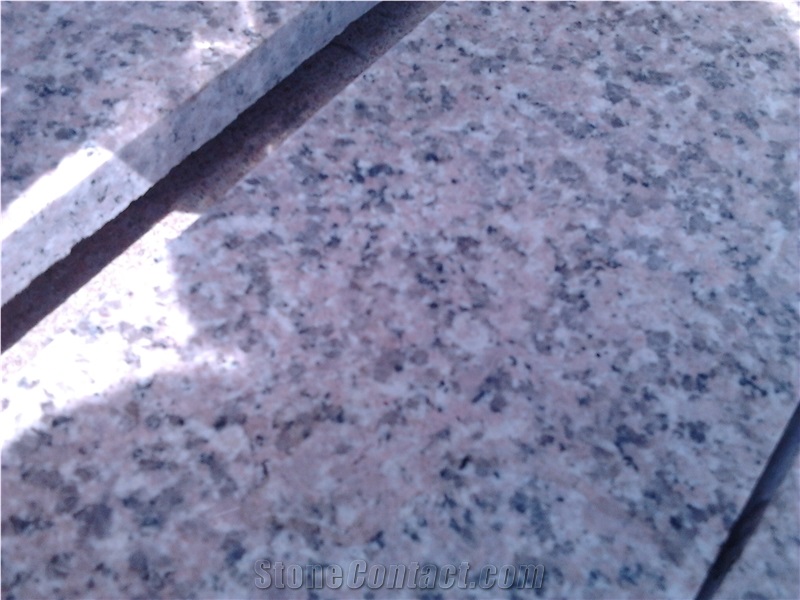 G364 Cherry Flower Granite Tiles, Floor Tiles