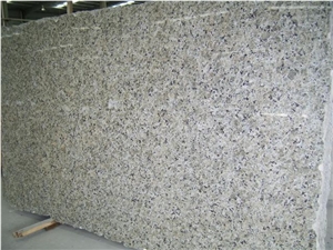 Beige Butterfly Granite Slab