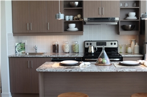 White Ice Granite Countertop