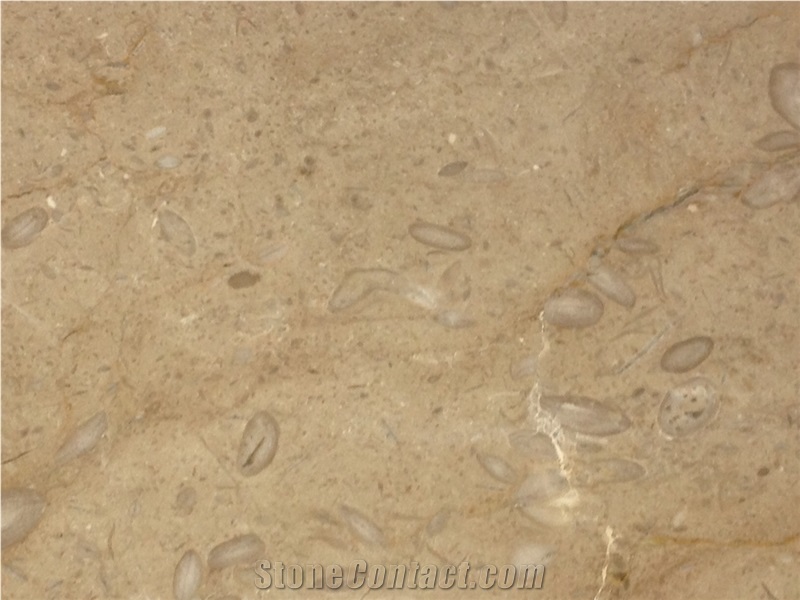 Beige Dalmatia Limestone Tiles