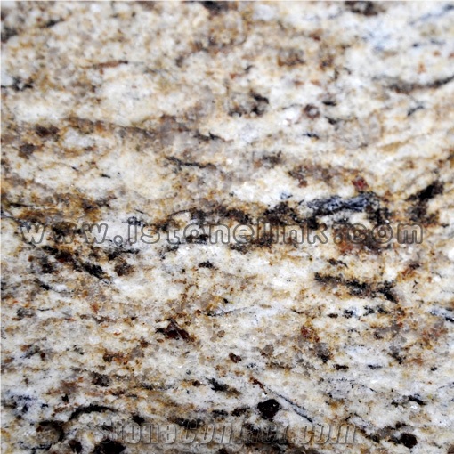Giallo Ornamental, Light Gold Granite Slab