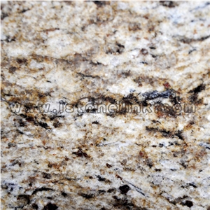 Giallo Ornamental, Light Gold Granite Slab