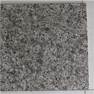 Blue Leopard Granite Tiles