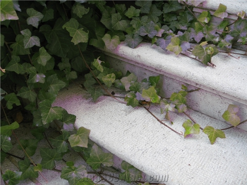 Repen Povir Limestone Solid Stone Stairs, Repen Povir Beige Limestone Stairs