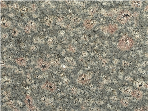 Bala Flower Granite Bala Flower Granite
