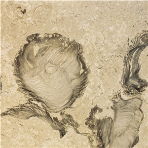 Perla Bello Marble Tiles, Turkey Beige Marble Perla Bello Marble Tiles, Turkey Beige Marble