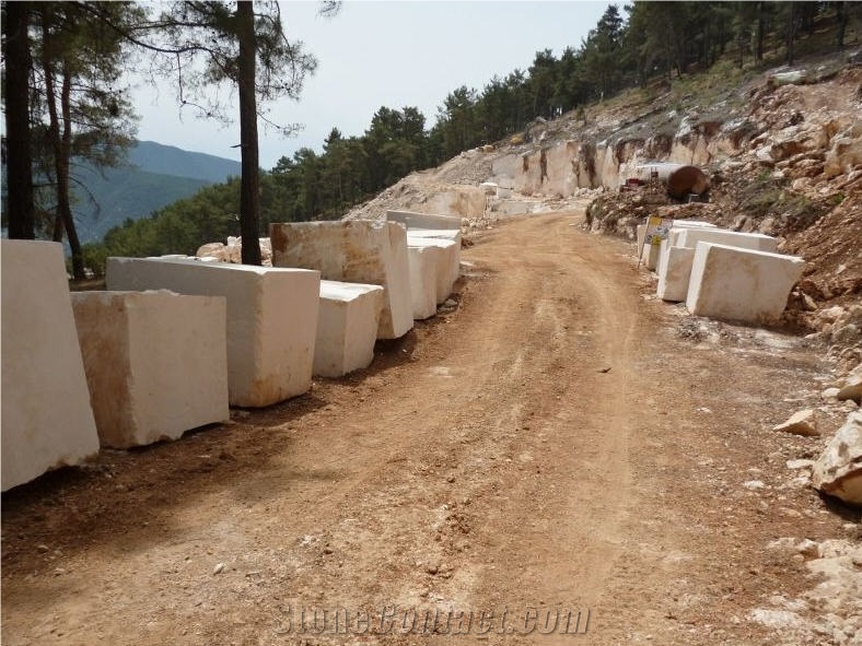 Arykanda Limestone Blocks, Turkey Beige Limestone