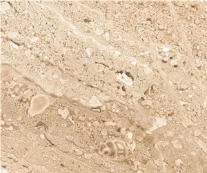 Daino Reale Beige Limestone Slabs & Tiles Daino Reale Beige Limestone Slabs & Tiles