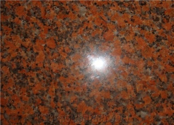 G562 Maple Red Granite Polished/Flamed Tiles/Stairs/Slabs