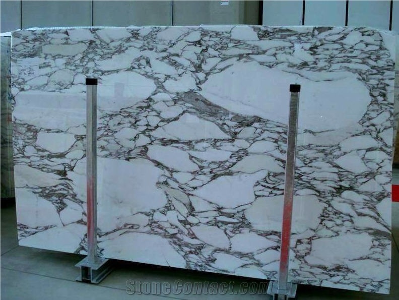 Arabescato Corchia Marble Slabs, Italy White Marble