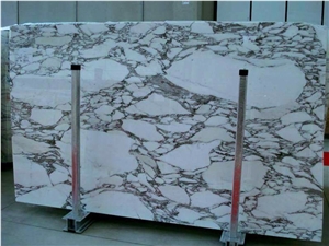 Arabescato Corchia Marble Slabs, Italy White Marble Arabescato Corchia Marble Slabs, Italy White Marble