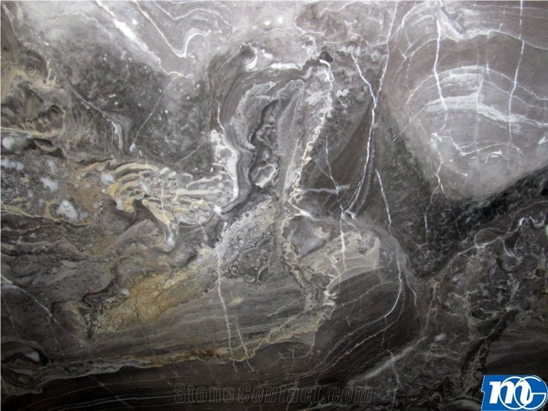 Arabescato Orobico Grigio Marble Slabs, Italy Grey Marble