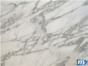Calacatta Campocecina Marble Tiles, Italy White Marble