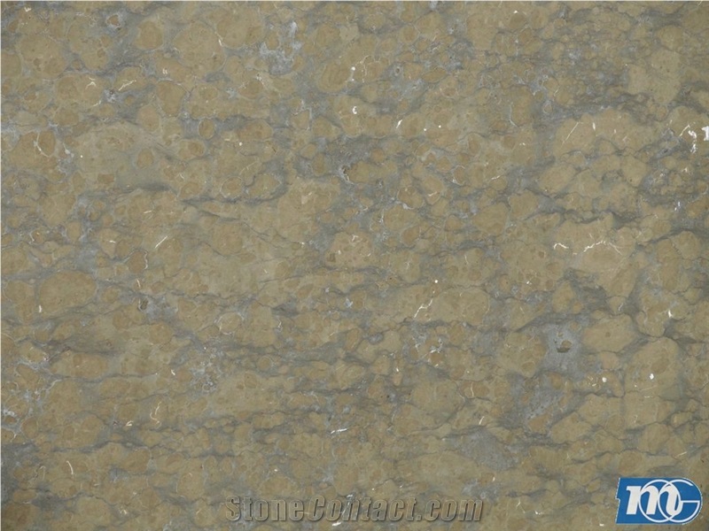 Corteccia Brown Marble Tiles