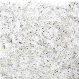 White Coral Gem Stone Slab