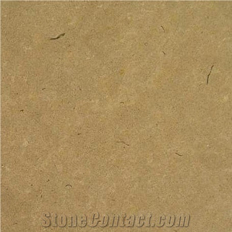 Galil Gold Limestone Tiles & Slabs, Yellow Israel Limestone
