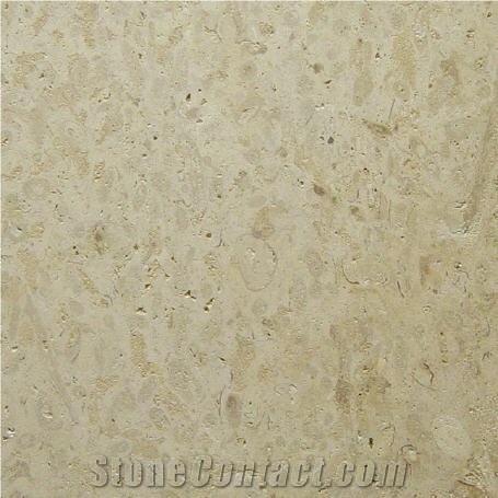 Marbella Shellstone Limestone Tiles, Slabs, Beige Limestone Tiles & Slabs