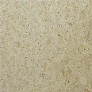 Marbella Shellstone Limestone Tiles, Slabs, Beige Limestone Tiles & Slabs Marbella Shellstone Limestone Tiles, Slabs, Beige Limestone Tiles & Slabs