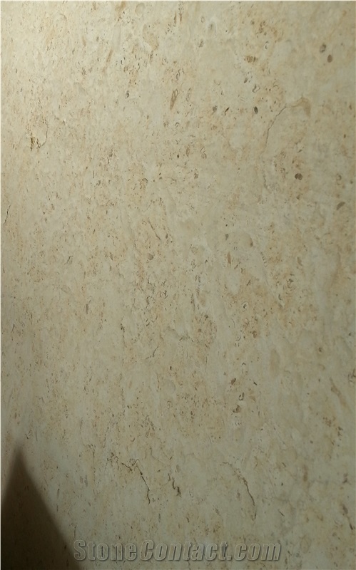 Marbella Shellstone Limestone Tiles, Slabs, Beige Limestone Tiles & Slabs